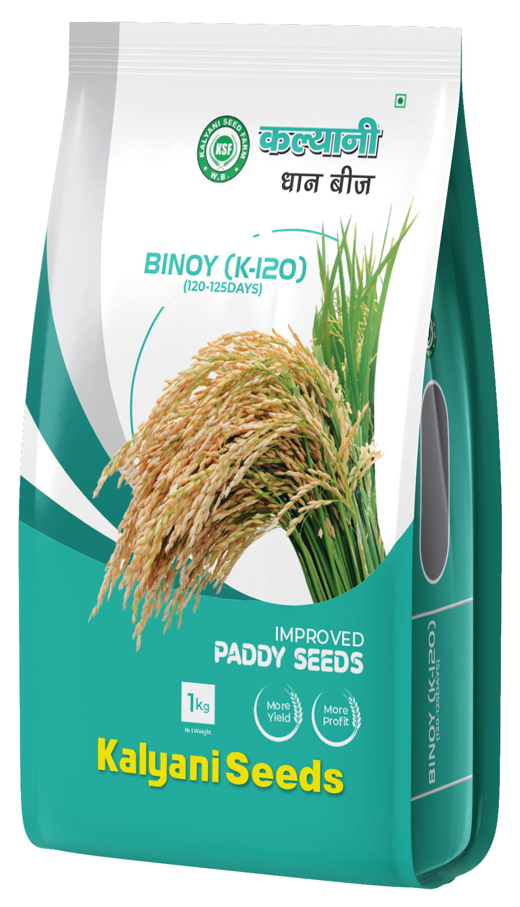 kalyani paddy seeds